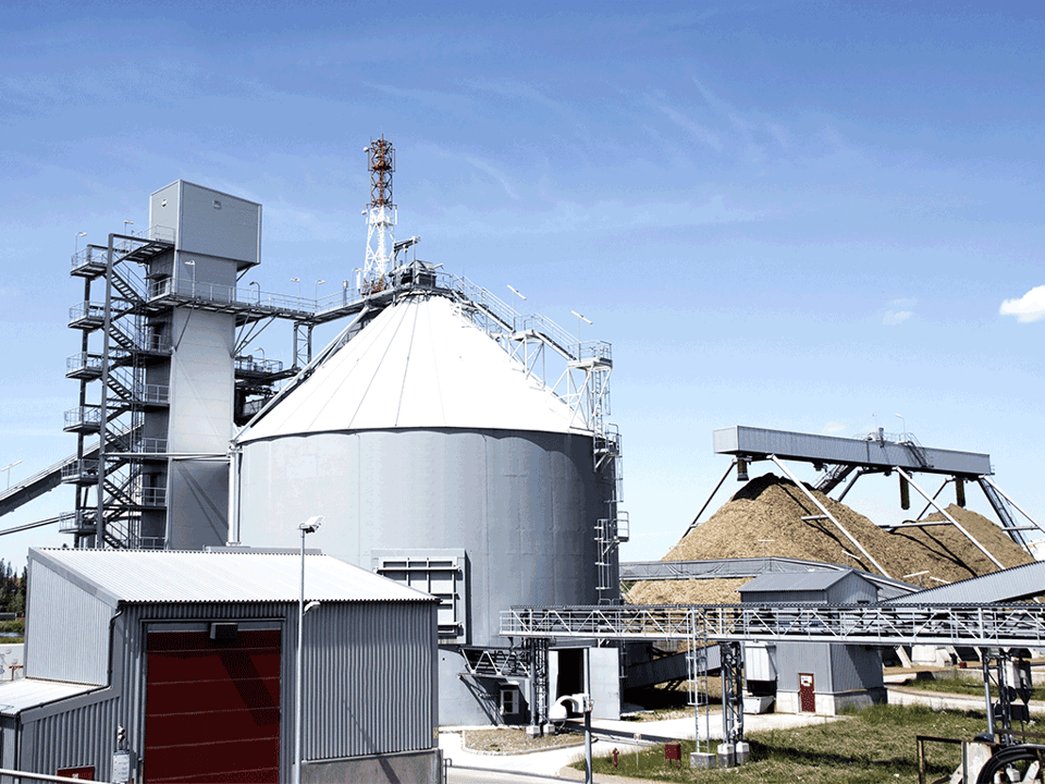 Biomass-energy