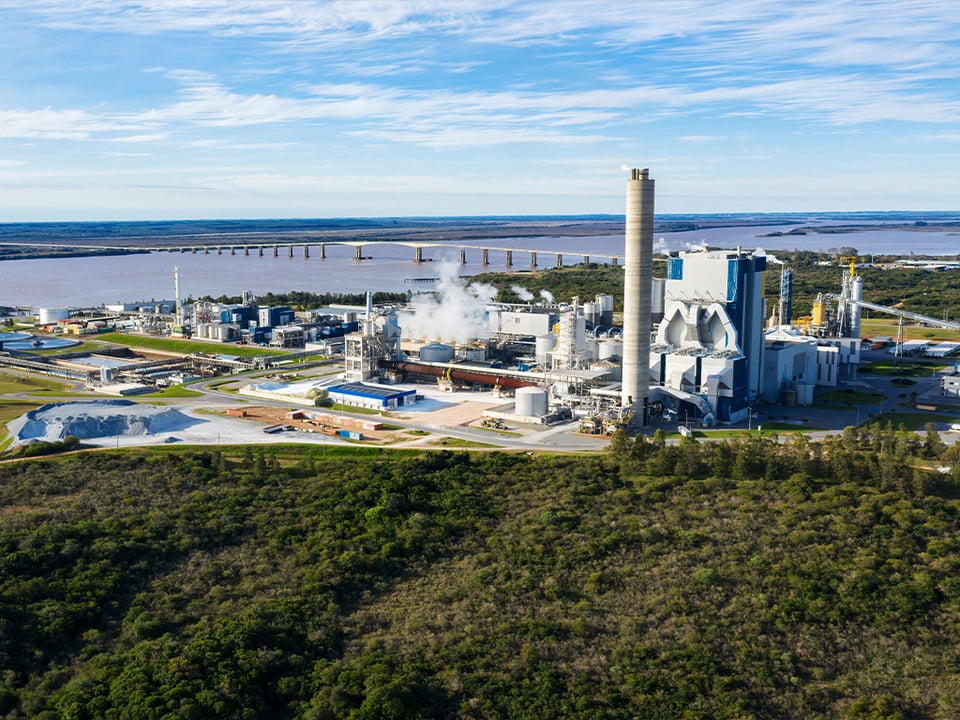Pulp-mill-LHE